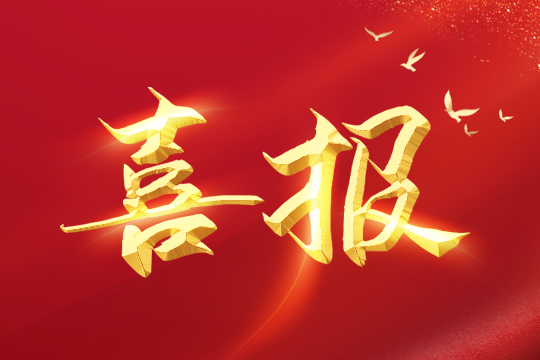 喜报 | 3499拉斯维加斯荣登2024粤港澳大湾区企业创新力榜单